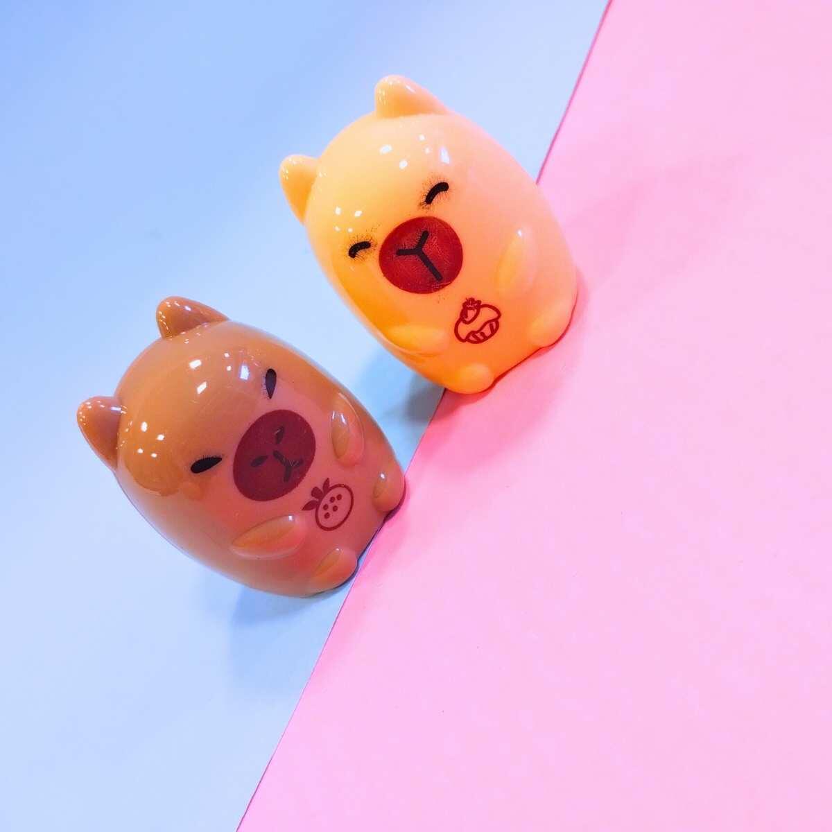 Sacapuntas Capybara en frasco