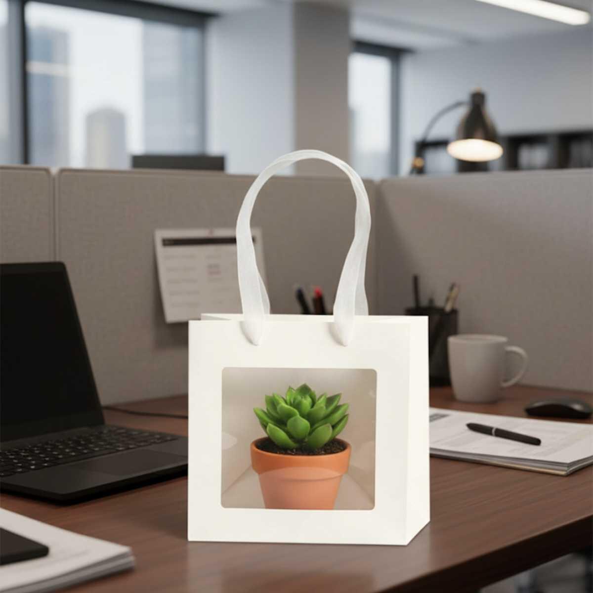 Bolsa de regalo Blanca c/ventana y manija cordon 20x20x20