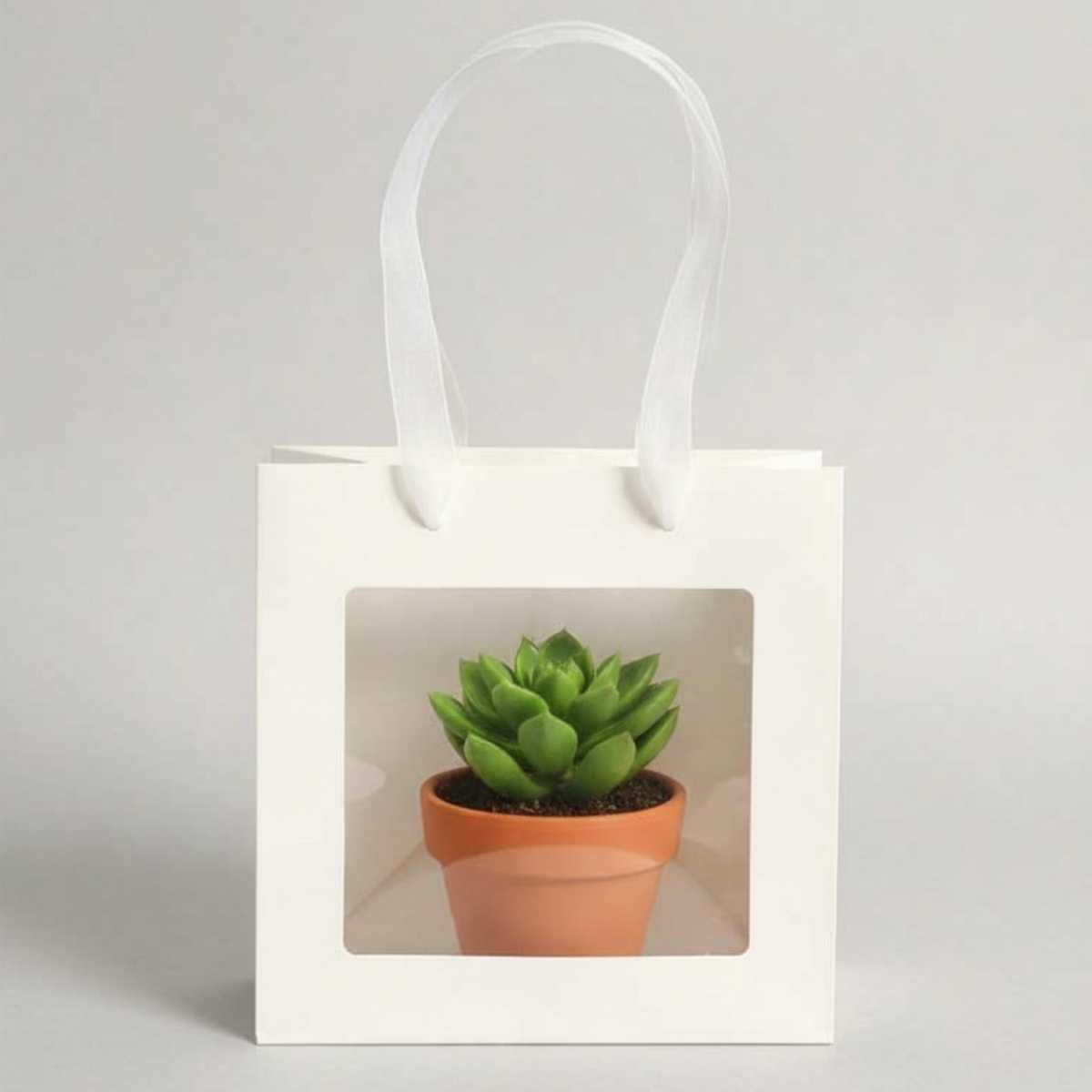 Bolsa de regalo Blanca c/ventana y manija cordon 20x20x20