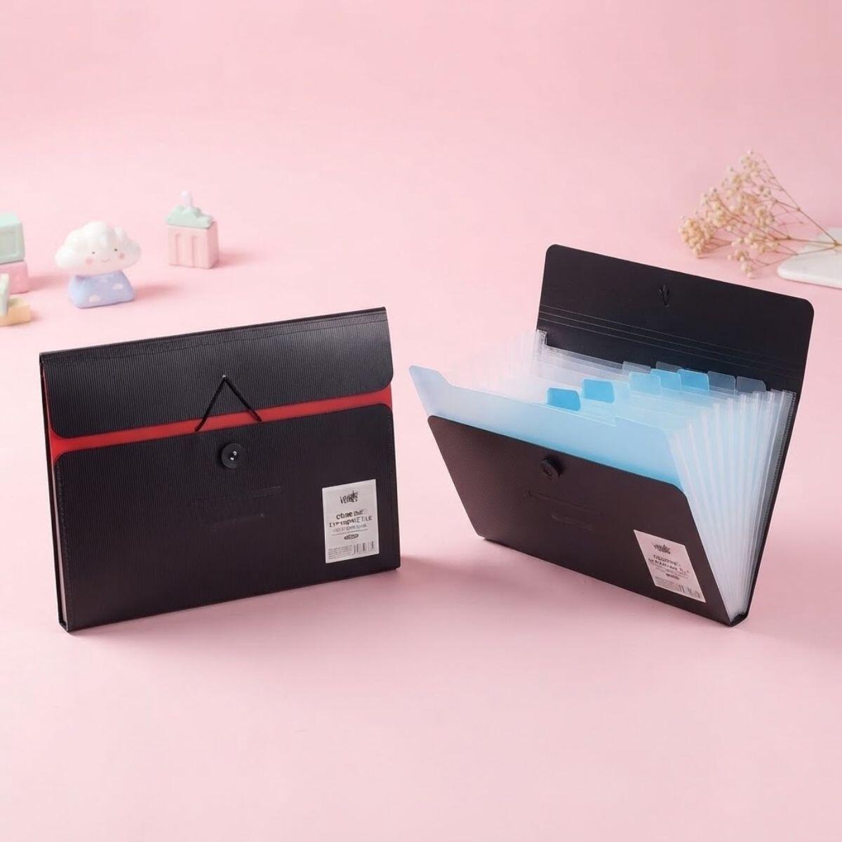 Carpeta Organizadora Acordeon A4 c/ botón y elastico negro y colores - 12 divisiones